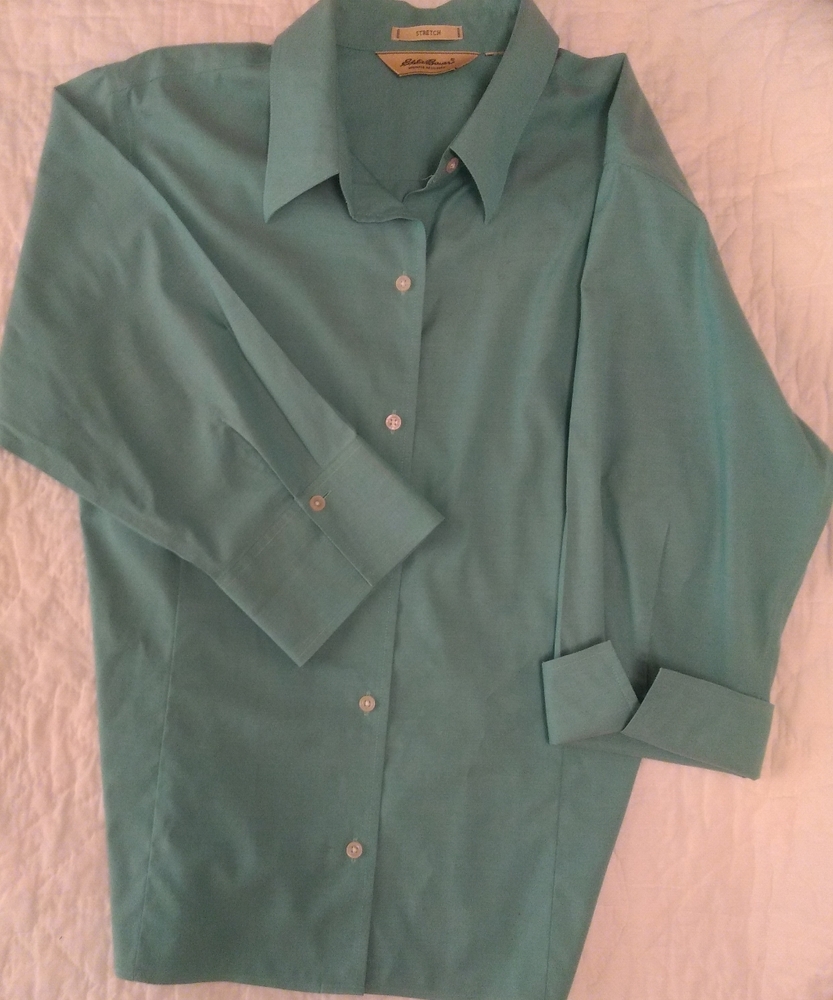 Wrinkle resistant Blouse